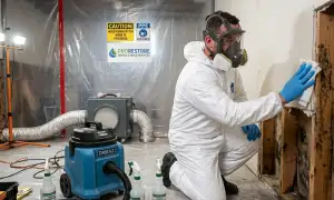 Mold remediation services in Gainesville, FL for water damage restoration homepage widget